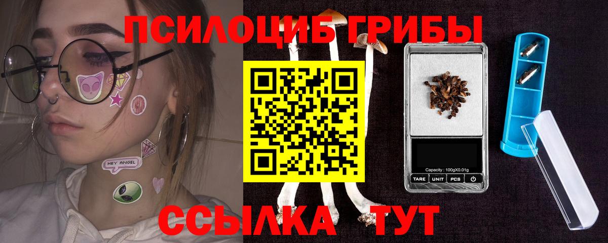 Славянск-на-Кубани  купить наркотик  Галлюциногенные грибы мицелий  Вход с VPN  Галлюциногенные грибы Psilocybine cubensis 